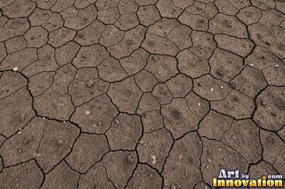 Pale golden wet sand with a shiny surface and tiny pits