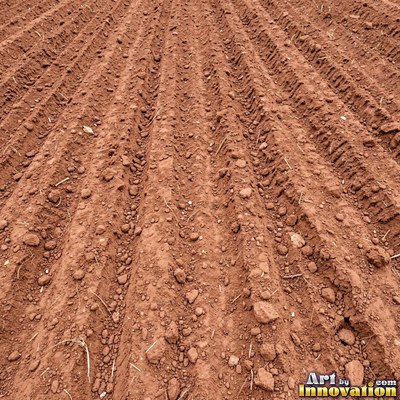 Gravelly copper orange soil scattered with small stones