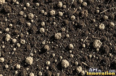 Forest floor soil threaded with tiny roots and twigs