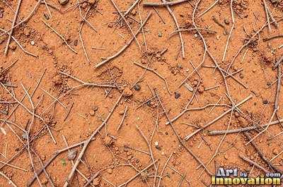 Gravelly copper orange soil scattered with small stones