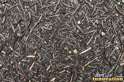Forest floor soil threaded with tiny roots and twigs