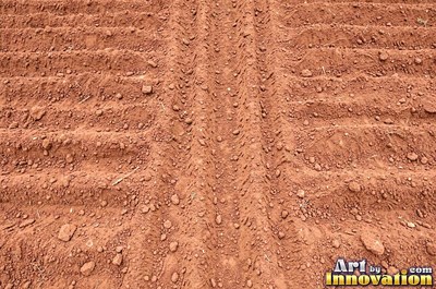 Dry cracked mud broken into polygon shaped plates of clay brown