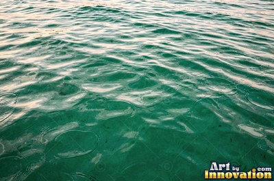Concentric ripples spreading from a single drop on teal water