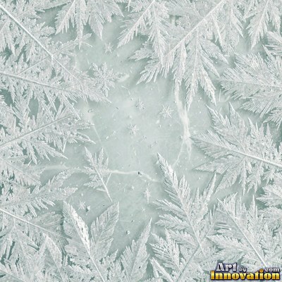 Snowflakes resting on dark sea green ice