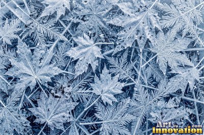 Clear ice full of trapped air bubbles in icy white blue
