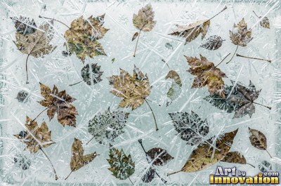 Snowflakes resting on dark sea green ice