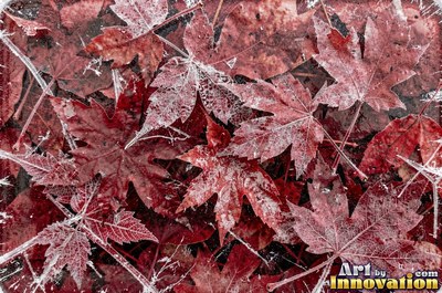 Frosted surface covered in fine crystal needles of pale aqua