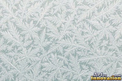 Snowflakes resting on dark sea green ice