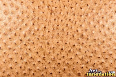 Ostrich embossed leather with raised quill bumps in saddle tan