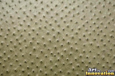 Ostrich embossed leather with raised quill bumps in saddle tan