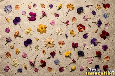 Off-white paper with pressed flower petals embedded in it