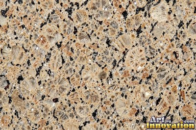 Blue gray granite with thin pale quartz veins cutting across it