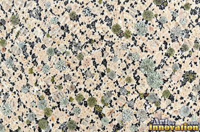 Polished granite with dense speckles of mineral crystals in warm beige
