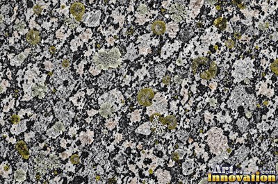 Cream granite with flecks of mica glinting in the light