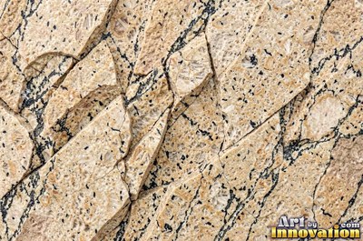 Polished granite with dense speckles of mineral crystals in warm beige