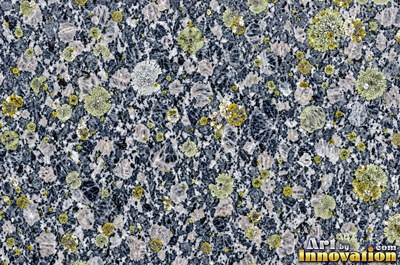 Blue gray granite with thin pale quartz veins cutting across it