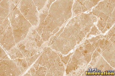 Polished white marble with a few thin gold-like veins