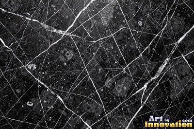Bold dramatic marble veining in thick sweeping bands of ivory and gold