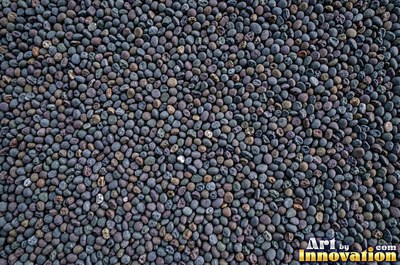 Large smooth blue gray boulders set tight with dark gaps