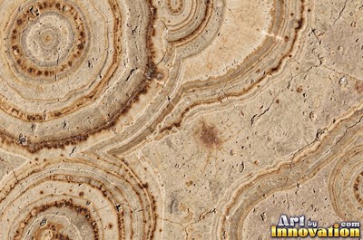 Wind carved sandstone with smooth flowing curves