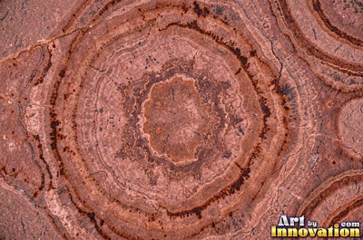 Sandstone with fossil ripple marks across it in sandy tan
