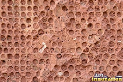 Sandstone with fossil ripple marks across it in sandy tan