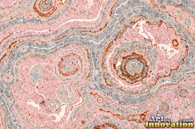 Wind carved sandstone with smooth flowing curves