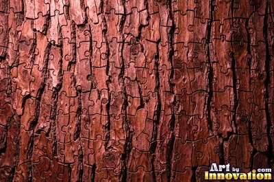 Sycamore bark shedding in patchwork camouflage flakes