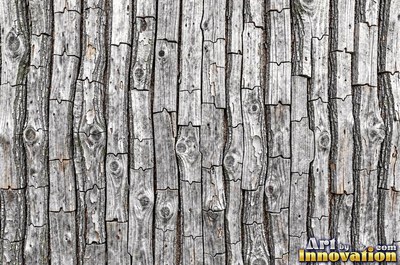 Cork oak bark full of spongy pits and fissures