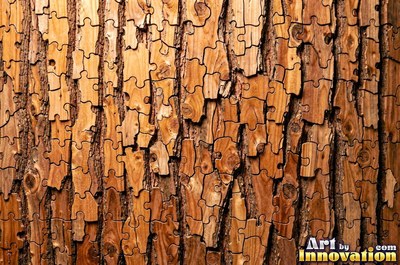 Plated pine bark broken into thick puzzle piece scales