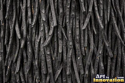 Cork oak bark full of spongy pits and fissures