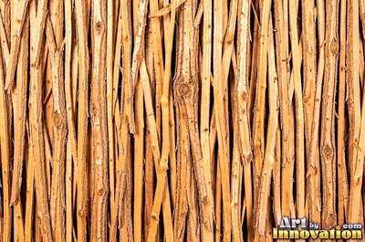 Plated pine bark broken into thick puzzle piece scales