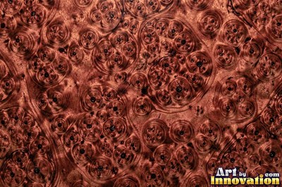 Slice of burl with chaotic swirling grain and a deep glossy finish