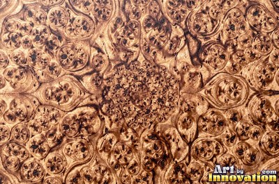 Burl figure glowing with chatoyant shimmer under lacquer