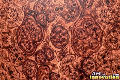 Buckeye style burl with pale and dark marbled patches