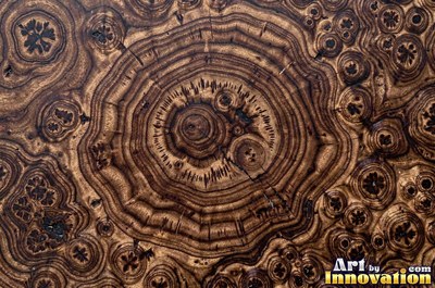 Buckeye style burl with pale and dark marbled patches
