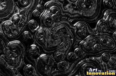 Slice of burl with chaotic swirling grain and a deep glossy finish