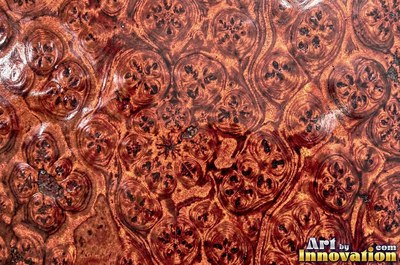 Slice of burl with chaotic swirling grain and a deep glossy finish