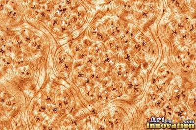 Buckeye style burl with pale and dark marbled patches