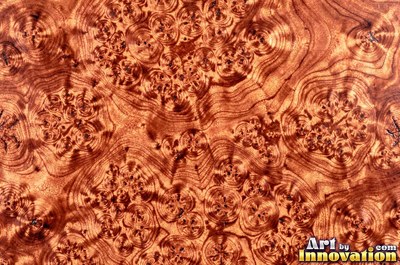 Burl figure glowing with chatoyant shimmer under lacquer