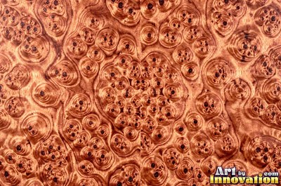 Buckeye style burl with pale and dark marbled patches