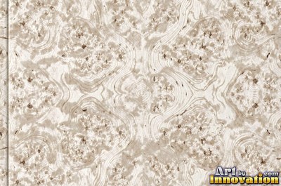 Slice of burl with chaotic swirling grain and a deep glossy finish