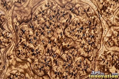Amboyna style burl with tight curls in reddish mahogany