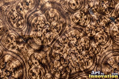 Buckeye style burl with pale and dark marbled patches