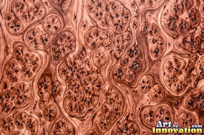 Amboyna style burl with tight curls in reddish mahogany