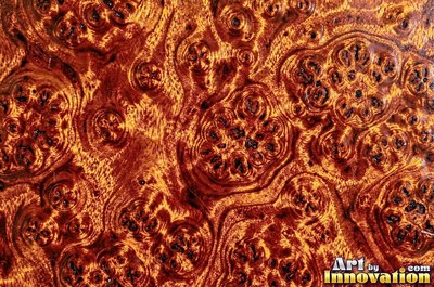 Buckeye style burl with pale and dark marbled patches
