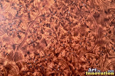 Slice of burl with chaotic swirling grain and a deep glossy finish