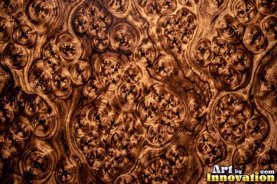Slice of burl with chaotic swirling grain and a deep glossy finish