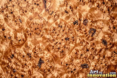 Slice of burl with chaotic swirling grain and a deep glossy finish