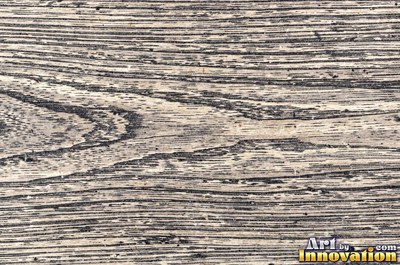 Spalted wood with thin dark zone lines wandering through pale grain